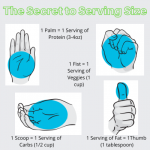 serving size using your hand as a guide Use this portion guide when filling your plate or to-go box in the dining hall. Everyone has different nutritional needs but a good rule of thumb is for each meal to consume 1-2 palms of protein 1-2 fists of veggies 1-2 scoops of carbs 1-2 thumbs of fat-dense food